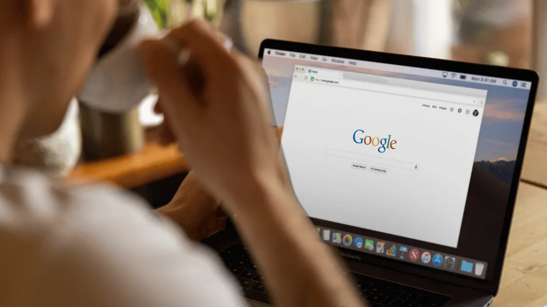 Pilihan Jasa Backlink PBN untuk Website Baru dan Lama